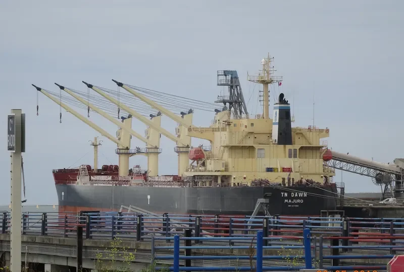 TN DAWN Bulk Carrier IMO 9373993 photo 6