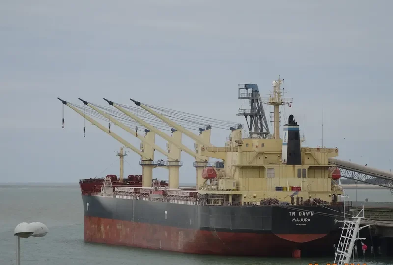 TN DAWN Bulk Carrier IMO 9373993 photo 7
