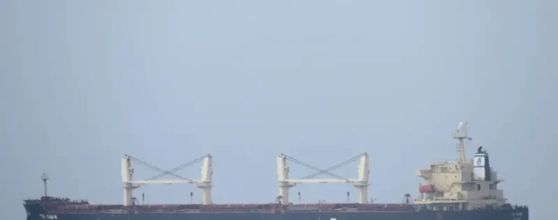 TN DAWN Bulk Carrier IMO 9373993 photo 8