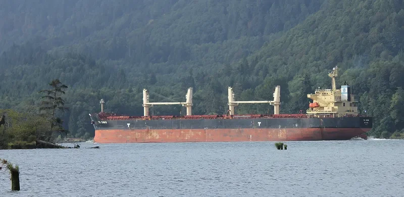 TN DAWN Bulk Carrier IMO 9373993 photo 9