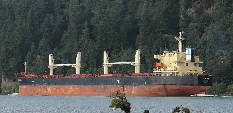 TN DAWN Bulk Carrier IMO 9373993 photo 10