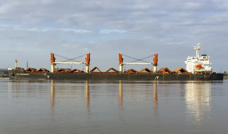 BULK INDEPENDENCE Bulk Carrier IMO 9374002