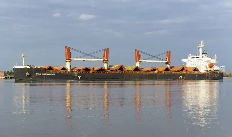 BULK INDEPENDENCE Bulk Carrier IMO 9374002 photo 2