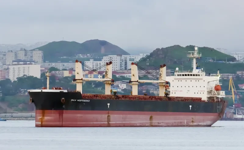 BULK INDEPENDENCE Bulk Carrier IMO 9374002 photo 3