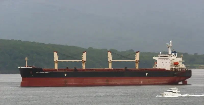 BULK INDEPENDENCE Bulk Carrier IMO 9374002 photo 4