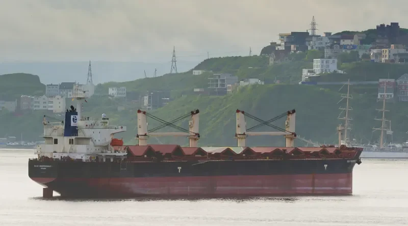 BULK INDEPENDENCE Bulk Carrier IMO 9374002 photo 5