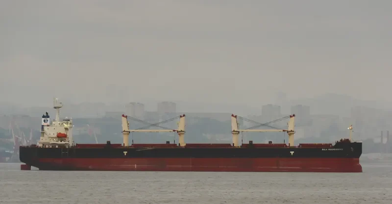 BULK INDEPENDENCE Bulk Carrier IMO 9374002 photo 7