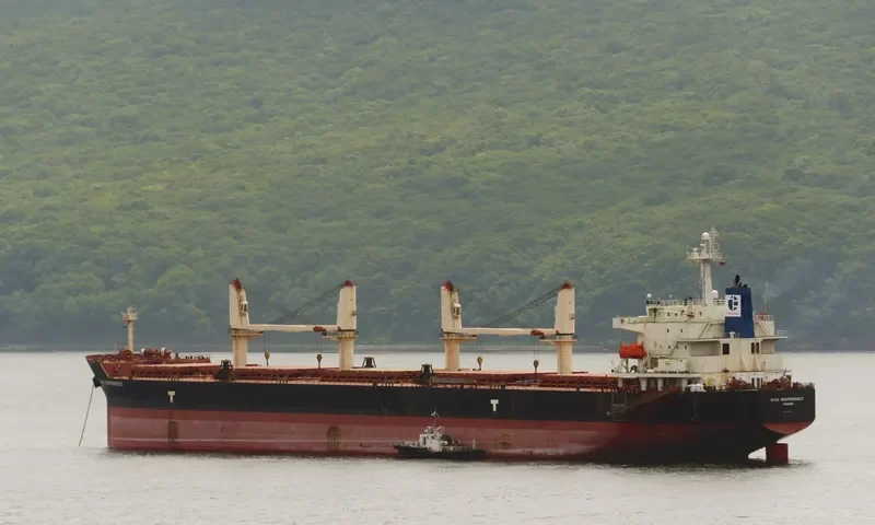 BULK INDEPENDENCE Bulk Carrier IMO 9374002 photo 8