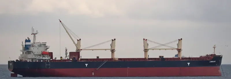 BULK INDEPENDENCE Bulk Carrier IMO 9374002 photo 9