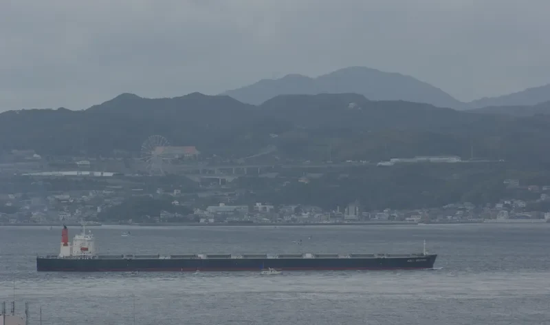 AZUL VICTORIA Bulk Carrier IMO 9374026 photo 4