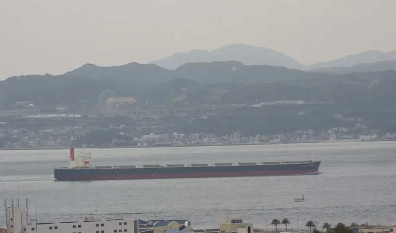 AZUL VICTORIA Bulk Carrier IMO 9374026 photo 5