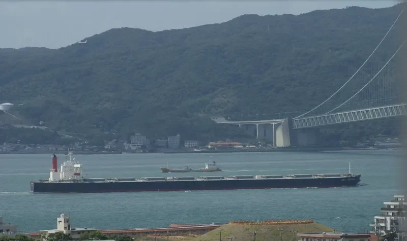 AZUL VICTORIA Bulk Carrier IMO 9374026 photo 7