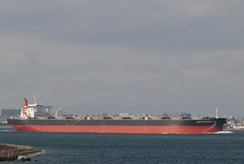 AZUL VICTORIA Bulk Carrier IMO 9374026 photo 8