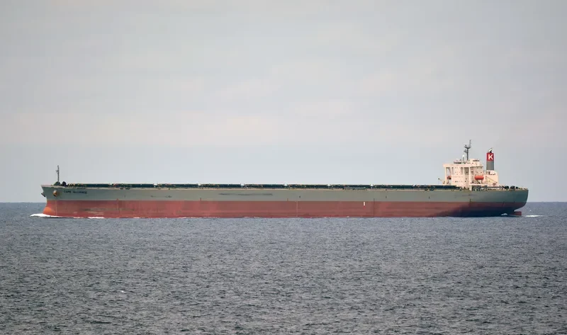 CAPE ALLIANCE Bulk Carrier IMO 9374038 photo 4