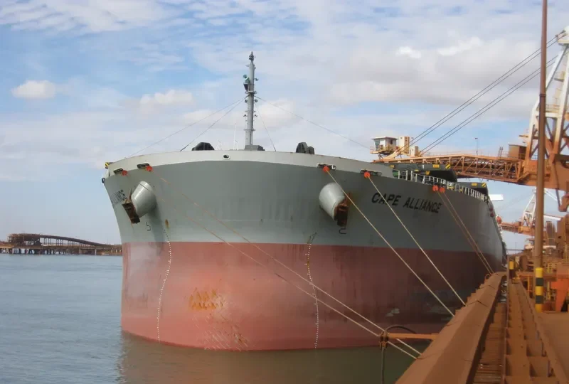 CAPE ALLIANCE Bulk Carrier IMO 9374038 photo 5