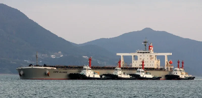 CAPE ALLIANCE Bulk Carrier IMO 9374038 photo 6