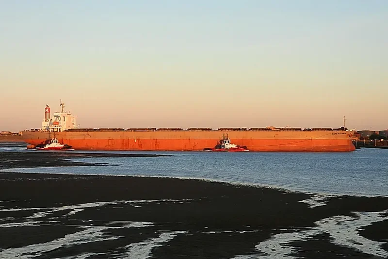 CAPE ALLIANCE Bulk Carrier IMO 9374038 photo 8