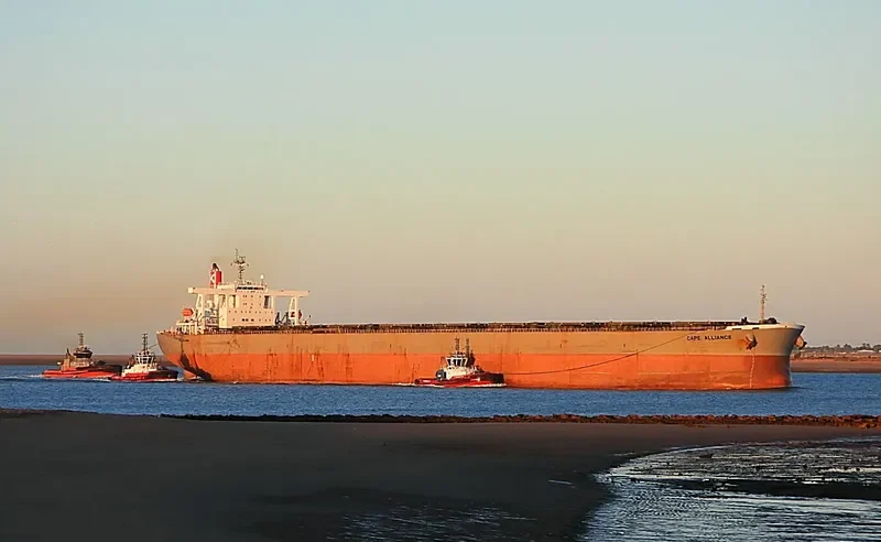 CAPE ALLIANCE Bulk Carrier IMO 9374038 photo 9