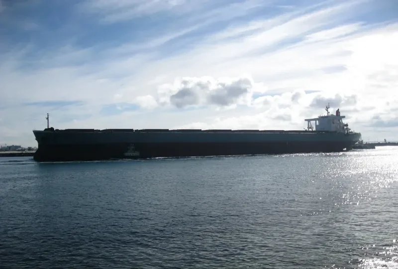 SAMC MG Bulk Carrier IMO 9374052 photo 2