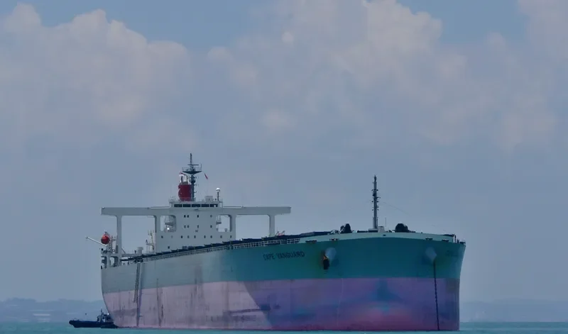SAMC MG Bulk Carrier IMO 9374052 photo 5