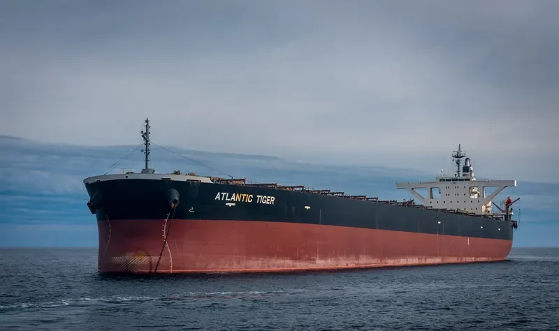 ATLANTIC TIGER Bulk Carrier IMO 9374064 photo 3