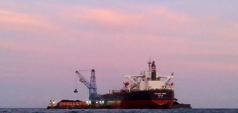 ATLANTIC TIGER Bulk Carrier IMO 9374064 photo 4