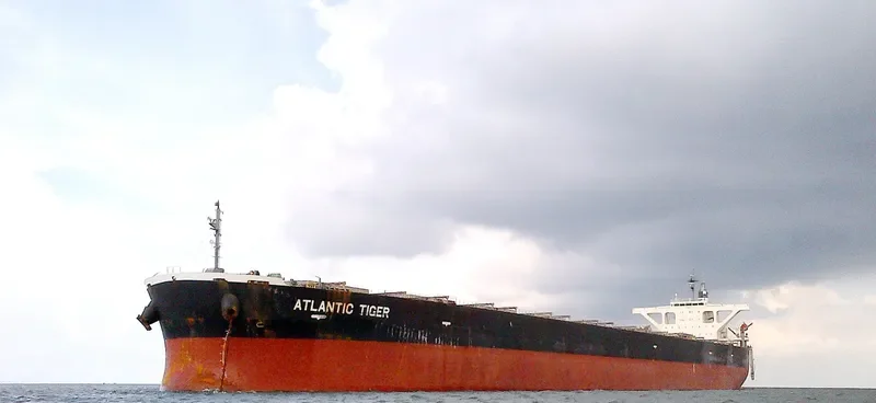 ATLANTIC TIGER Bulk Carrier IMO 9374064 photo 5