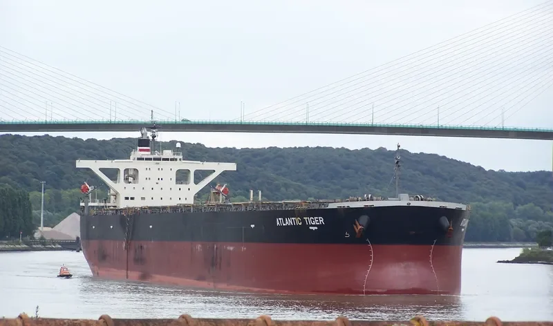 ATLANTIC TIGER Bulk Carrier IMO 9374064 photo 9