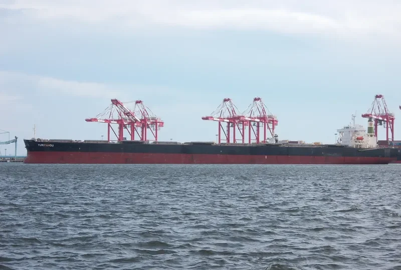 ELIZABETH II Bulk Carrier IMO 9374076 photo 2