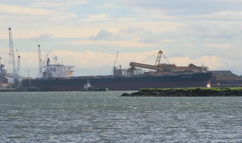 ELIZABETH II Bulk Carrier IMO 9374076 photo 4