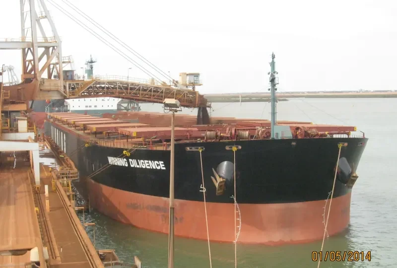 WINNING DILIGENCE Bulk Carrier IMO 9374088 photo 3