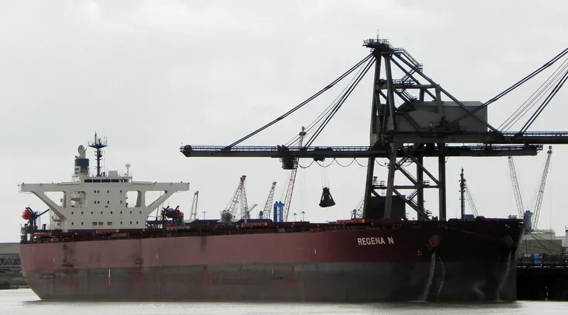 WINNING DILIGENCE Bulk Carrier IMO 9374088 photo 4