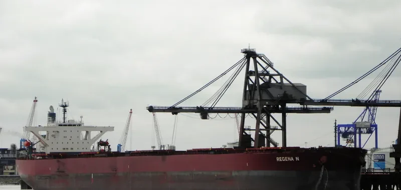 WINNING DILIGENCE Bulk Carrier IMO 9374088 photo 5