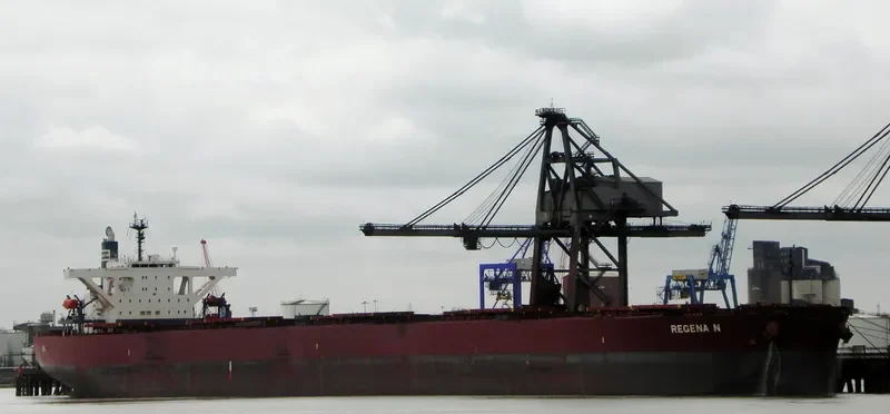 WINNING DILIGENCE Bulk Carrier IMO 9374088 photo 6