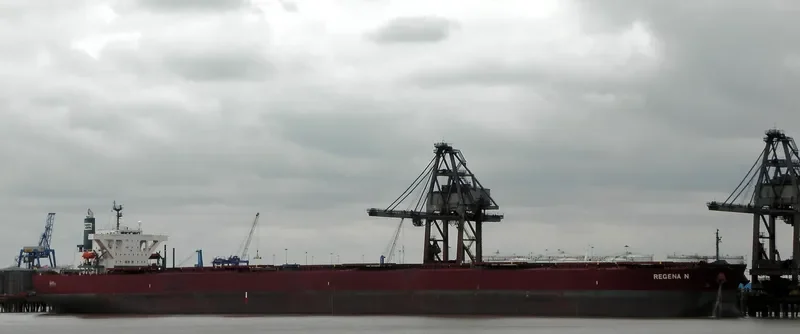 WINNING DILIGENCE Bulk Carrier IMO 9374088 photo 7