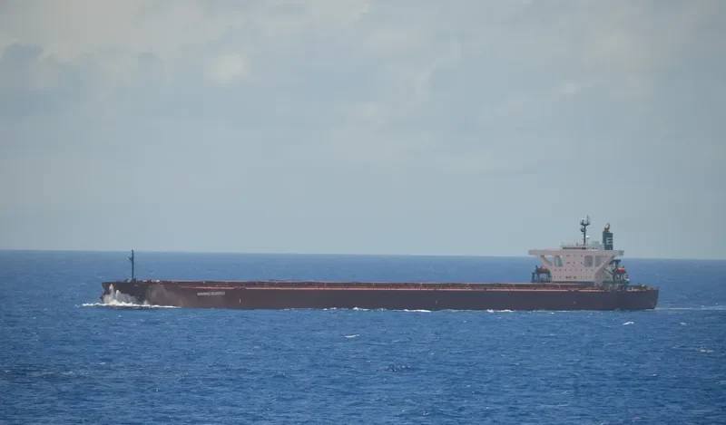 WINNING DILIGENCE Bulk Carrier IMO 9374088 photo 8