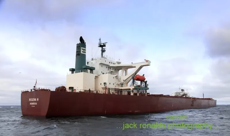WINNING DILIGENCE Bulk Carrier IMO 9374088 photo 10