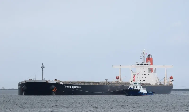 SPRING SWEETBRIER Bulk Carrier IMO 9374143 photo 3