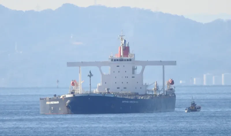SPRING SWEETBRIER Bulk Carrier IMO 9374143 photo 7