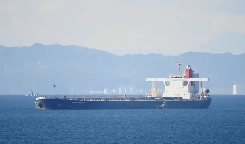SPRING SWEETBRIER Bulk Carrier IMO 9374143 photo 8