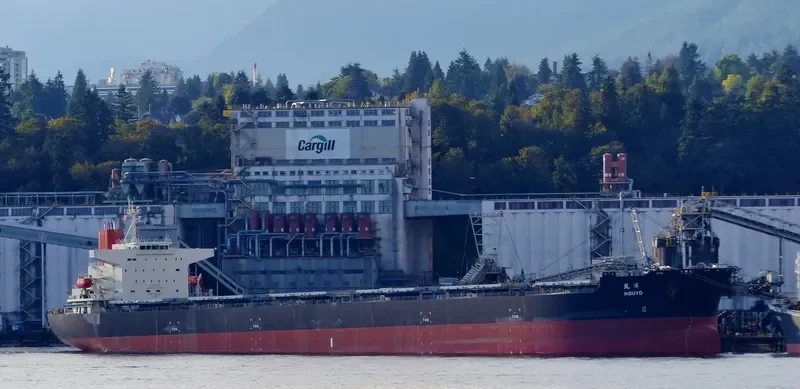 FLAG TRIAS Bulk Carrier IMO 9374155 photo 3
