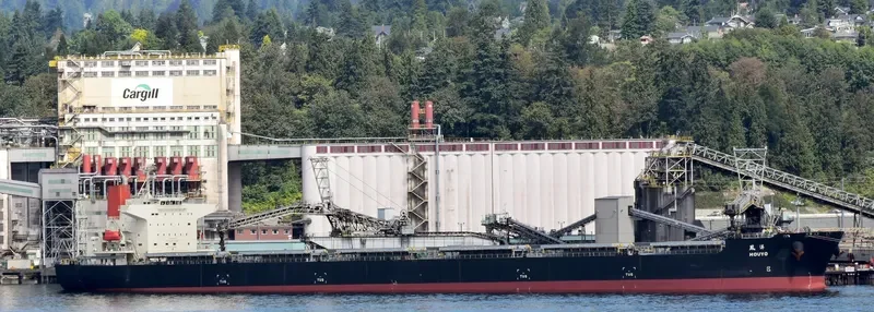 FLAG TRIAS Bulk Carrier IMO 9374155 photo 4