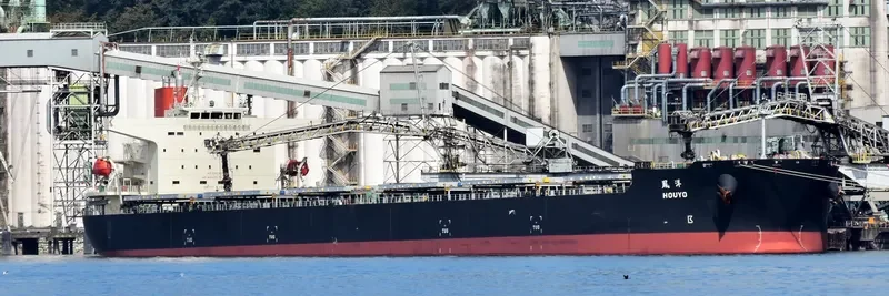 FLAG TRIAS Bulk Carrier IMO 9374155 photo 5