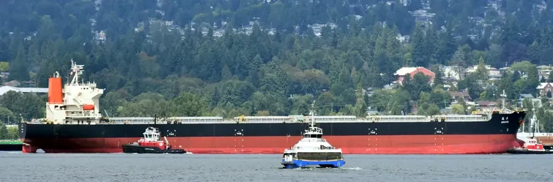 FLAG TRIAS Bulk Carrier IMO 9374155 photo 6