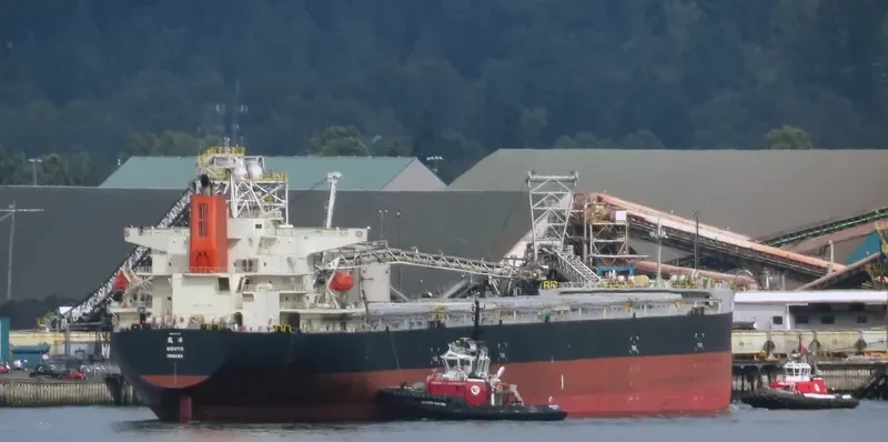 FLAG TRIAS Bulk Carrier IMO 9374155 photo 7