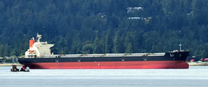 FLAG TRIAS Bulk Carrier IMO 9374155 photo 8