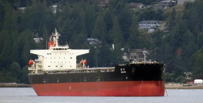 FLAG TRIAS Bulk Carrier IMO 9374155 photo 9