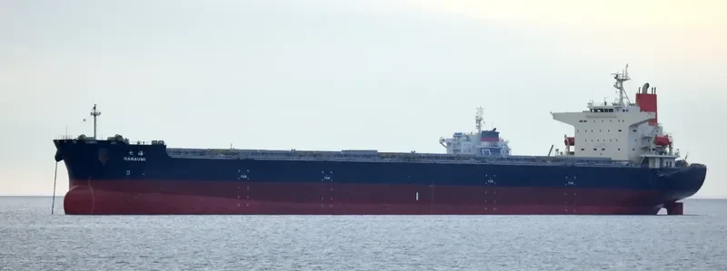 AURIGA OCEAN Bulk Carrier IMO 9374167 photo 2