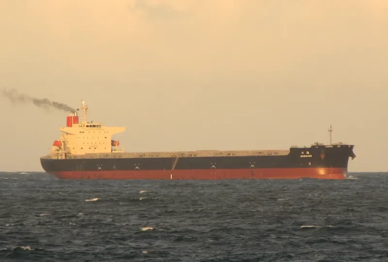 AURIGA OCEAN Bulk Carrier IMO 9374167 photo 8