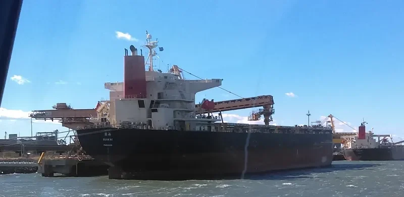 SUIKAI Bulk Carrier IMO 9374179